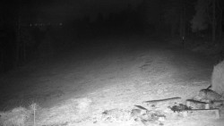 Běžecký lyžařský areál Nová Ves