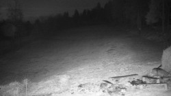 Běžecký lyžařský areál Nová Ves