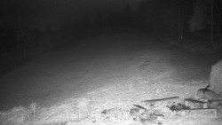 Běžecký lyžařský areál Nová Ves