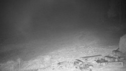 Běžecký lyžařský areál Nová Ves