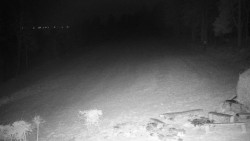 Běžecký lyžařský areál Nová Ves