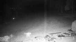 Běžecký lyžařský areál Nová Ves