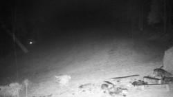 Běžecký lyžařský areál Nová Ves