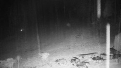 Běžecký lyžařský areál Nová Ves