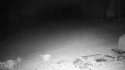 Běžecký lyžařský areál Nová Ves