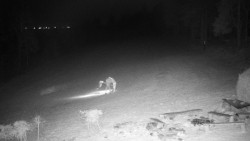 Běžecký lyžařský areál Nová Ves