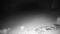 Běžecký lyžařský areál Nová Ves