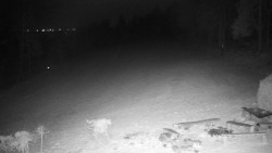 Běžecký lyžařský areál Nová Ves