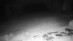 Běžecký lyžařský areál Nová Ves