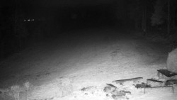 Běžecký lyžařský areál Nová Ves