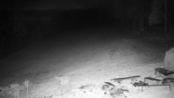 Běžecký lyžařský areál Nová Ves