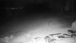 Běžecký lyžařský areál Nová Ves