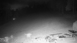 Běžecký lyžařský areál Nová Ves