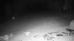 Běžecký lyžařský areál Nová Ves