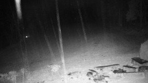 Chata Myslivna SKP Olomouc - Běžecký lyžařský areál Nová Ves - 21.4.2026 v 03:00 Chata Myslivna SKP Olomouc - Běžecký lyžařský areál Nová Ves - 21.4.2026 v 03:00