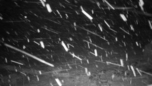 Chata Myslivna SKP Olomouc - Běžecký lyžařský areál Nová Ves - 21.4.2026 v 04:00 Chata Myslivna SKP Olomouc - Běžecký lyžařský areál Nová Ves - 21.4.2026 v 04:00