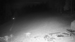 Běžecký lyžařský areál Nová Ves