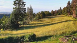 Běžecký lyžařský areál Nová Ves