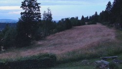 Běžecký lyžařský areál Nová Ves