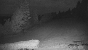Myslivna Cottage SKP Olomouc - Cross-country skiing area Nová Ves - 1.8.2026 v 01:00 Myslivna Cottage SKP Olomouc - Cross-country skiing area Nová Ves - 1.8.2026 v 01:00