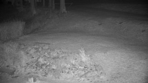 Chata Myslivna SKP Olomouc - Běžecký lyžařský areál Nová Ves - horní část - 14.11.2024 v 01:00 Chata Myslivna SKP Olomouc - Běžecký lyžařský areál Nová Ves - horní část - 14.11.2024 v 01:00