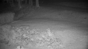 Chata Myslivna SKP Olomouc - Běžecký lyžařský areál Nová Ves - horní část - 14.11.2024 v 05:30 Chata Myslivna SKP Olomouc - Běžecký lyžařský areál Nová Ves - horní část - 14.11.2024 v 05:30