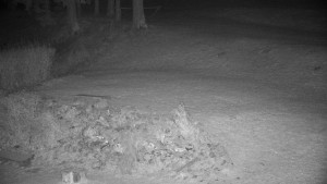 Chata Myslivna SKP Olomouc - Běžecký lyžařský areál Nová Ves - horní část - 14.11.2024 v 06:00 Chata Myslivna SKP Olomouc - Běžecký lyžařský areál Nová Ves - horní část - 14.11.2024 v 06:00