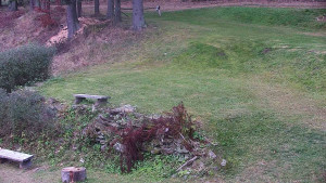 Chata Myslivna SKP Olomouc - Běžecký lyžařský areál Nová Ves - horní část - 14.11.2024 v 16:00 Chata Myslivna SKP Olomouc - Běžecký lyžařský areál Nová Ves - horní část - 14.11.2024 v 16:00