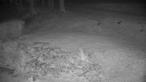 Chata Myslivna SKP Olomouc - Běžecký lyžařský areál Nová Ves - horní část - 14.11.2024 v 17:00 Chata Myslivna SKP Olomouc - Běžecký lyžařský areál Nová Ves - horní část - 14.11.2024 v 17:00