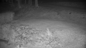 Chata Myslivna SKP Olomouc - Běžecký lyžařský areál Nová Ves - horní část - 14.11.2024 v 18:00 Chata Myslivna SKP Olomouc - Běžecký lyžařský areál Nová Ves - horní část - 14.11.2024 v 18:00