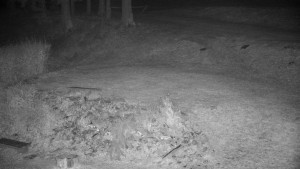 Chata Myslivna SKP Olomouc - Běžecký lyžařský areál Nová Ves - horní část - 14.11.2024 v 19:00 Chata Myslivna SKP Olomouc - Běžecký lyžařský areál Nová Ves - horní část - 14.11.2024 v 19:00