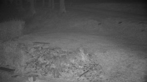 Chata Myslivna SKP Olomouc - Běžecký lyžařský areál Nová Ves - horní část - 14.11.2024 v 23:00 Chata Myslivna SKP Olomouc - Běžecký lyžařský areál Nová Ves - horní část - 14.11.2024 v 23:00