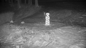 Chata Myslivna SKP Olomouc - Běžecký lyžařský areál Nová Ves - horní část - 9.2.2025 v 05:30 Chata Myslivna SKP Olomouc - Běžecký lyžařský areál Nová Ves - horní část - 9.2.2025 v 05:30