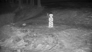 Chata Myslivna SKP Olomouc - Běžecký lyžařský areál Nová Ves - horní část - 9.2.2025 v 18:00 Chata Myslivna SKP Olomouc - Běžecký lyžařský areál Nová Ves - horní část - 9.2.2025 v 18:00