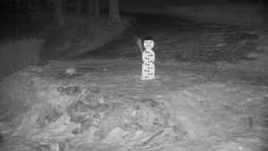 Chata Myslivna SKP Olomouc - Běžecký lyžařský areál Nová Ves - horní část - 9.2.2025 v 22:00 Chata Myslivna SKP Olomouc - Běžecký lyžařský areál Nová Ves - horní část - 9.2.2025 v 22:00