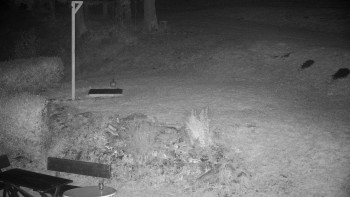 Snímek    20.10.2025 v 23:00