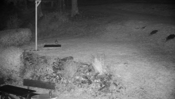 Snímek    25.10.2025 v 01:00