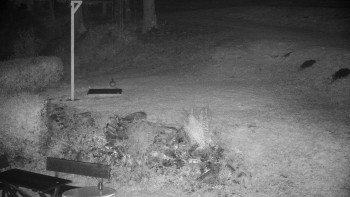 Snímek    25.10.2025 v 06:00