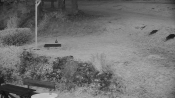 Snímek    25.10.2025 v 07:00