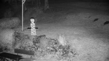 Snímek    27.10.2025 v 00:00
