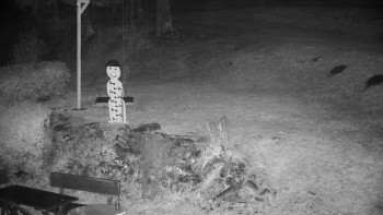 Snímek    27.10.2025 v 23:00