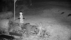 Běžecký lyžařský areál Nová Ves - horní část