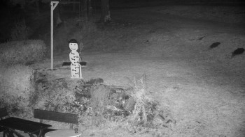 Snímek    29.10.2025 v 17:30