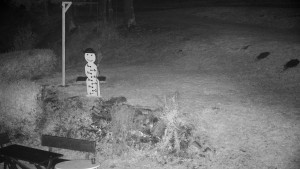 Chata Myslivna SKP Olomouc - Běžecký lyžařský areál Nová Ves - horní část - 29.10.2025 v 18:00 Chata Myslivna SKP Olomouc - Běžecký lyžařský areál Nová Ves - horní část - 29.10.2025 v 18:00