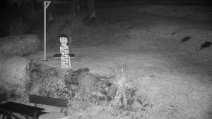 Chata Myslivna SKP Olomouc - Běžecký lyžařský areál Nová Ves - horní část - 29.10.2025 v 20:00 Chata Myslivna SKP Olomouc - Běžecký lyžařský areál Nová Ves - horní část - 29.10.2025 v 20:00