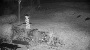 Chata Myslivna SKP Olomouc - Běžecký lyžařský areál Nová Ves - horní část - 29.10.2025 v 23:00 Chata Myslivna SKP Olomouc - Běžecký lyžařský areál Nová Ves - horní část - 29.10.2025 v 23:00