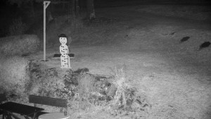 Chata Myslivna SKP Olomouc - Běžecký lyžařský areál Nová Ves - horní část - 29.10.2025 v 23:30 Chata Myslivna SKP Olomouc - Běžecký lyžařský areál Nová Ves - horní část - 29.10.2025 v 23:30