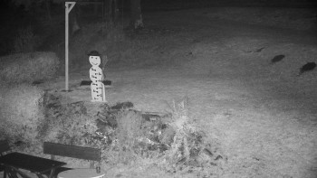 Snímek    30.10.2025 v 05:00