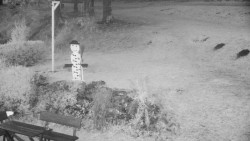 Běžecký lyžařský areál Nová Ves - horní část