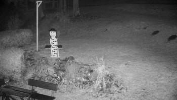 Snímek    31.10.2025 v 05:30